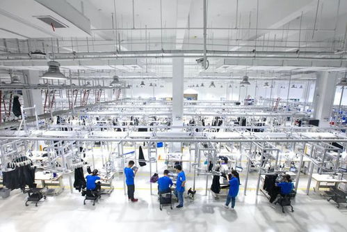 为什么时尚服装行业需要程序员