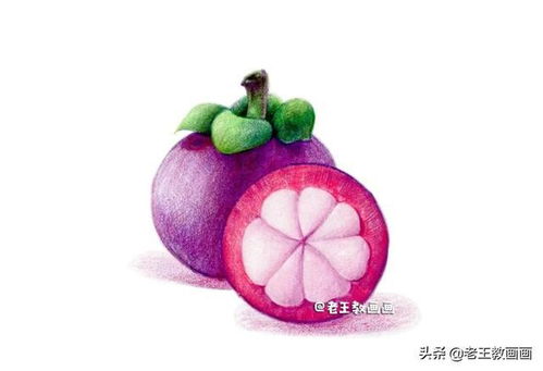 彩铅入门小教程,教你画山竹,零基础也可以学会
