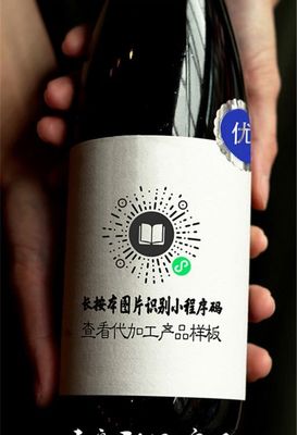 啤酒工厂定制 原浆精酿世涛果啤白啤 代加工酒水